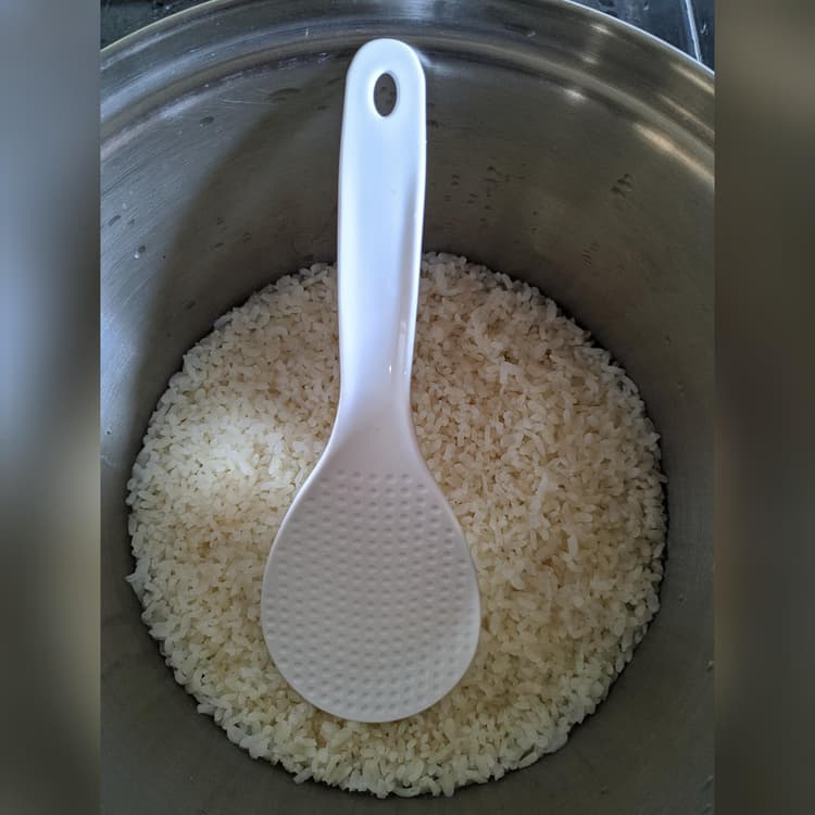 Great size roce paddle